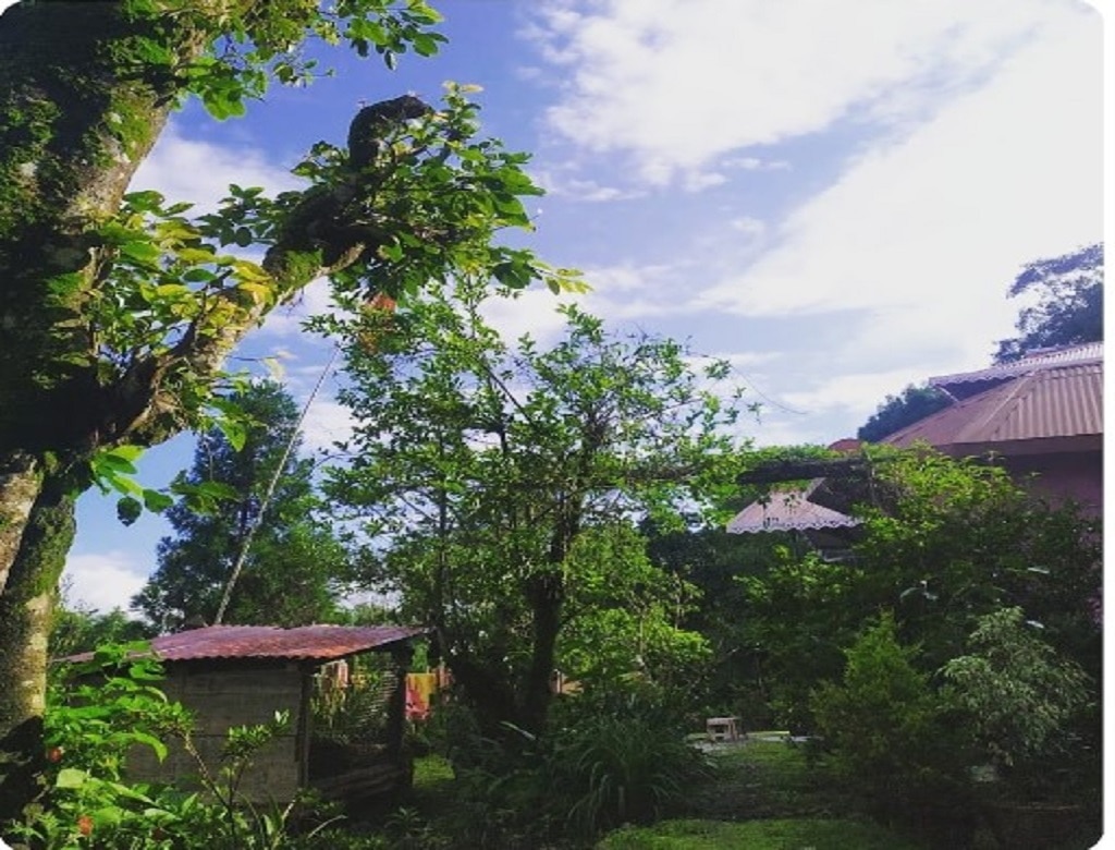 Aadhya Homestay Kalimpong - Tap to explore photos