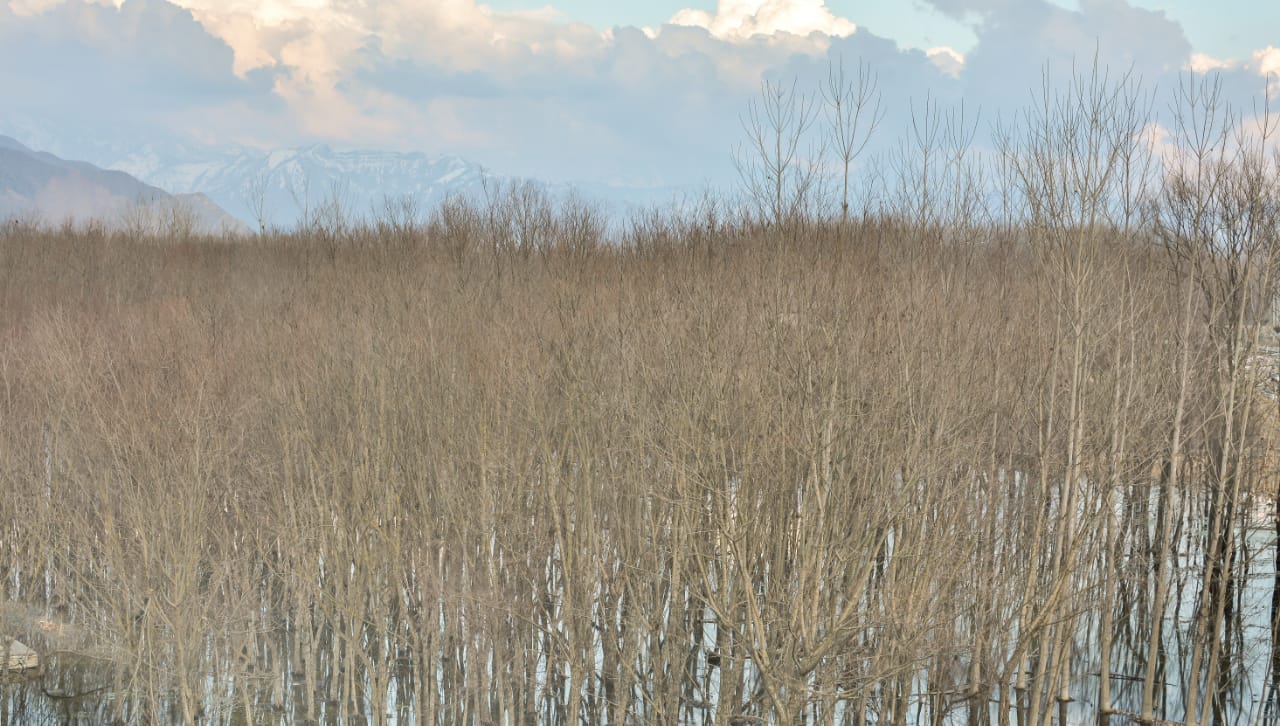 Hotel Kashmir Residency - Tap to explore photos