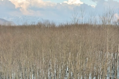 Hotel Kashmir Residency, Srinagar