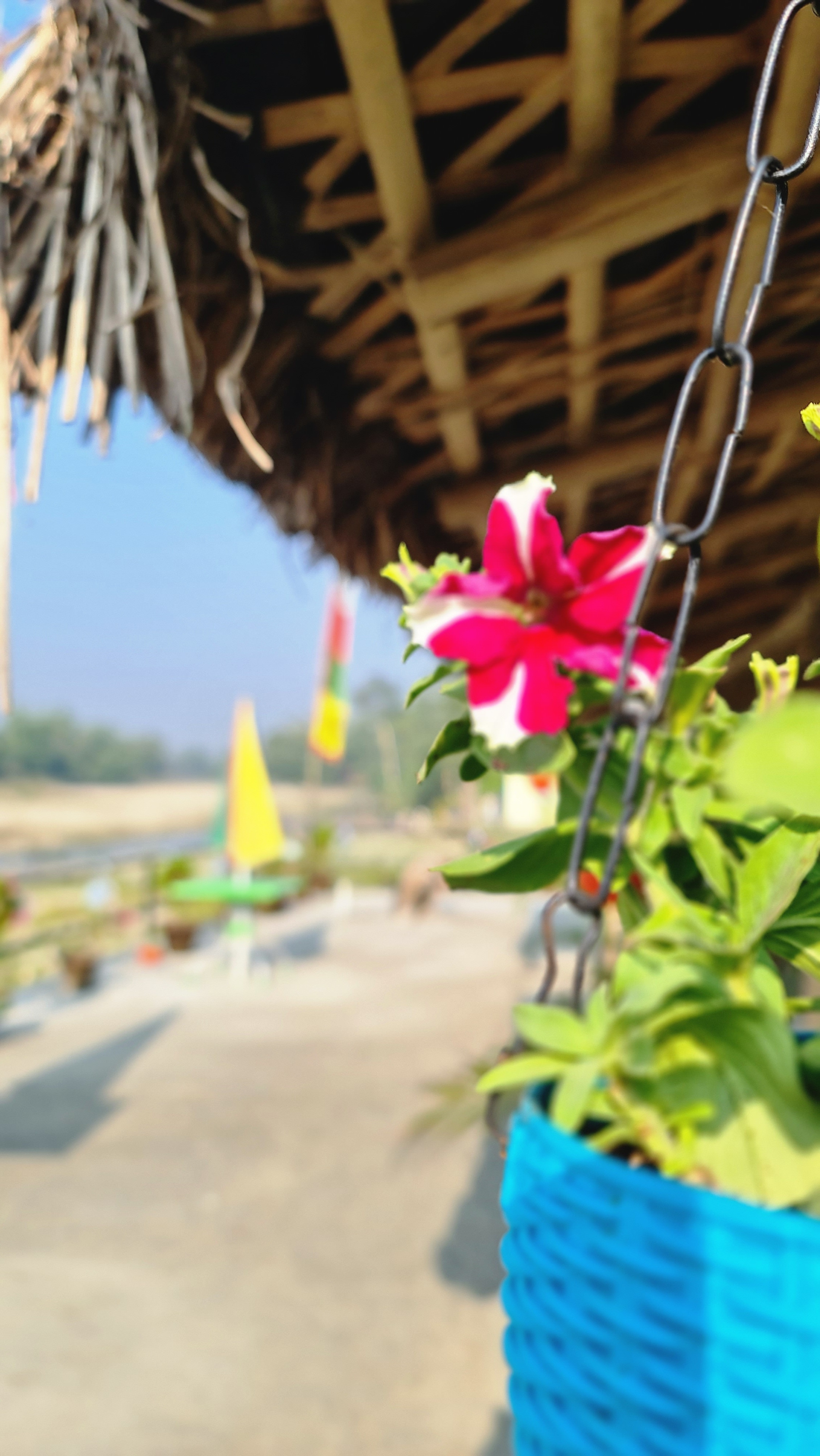 Grand dooars eco resort - Tap to explore photos