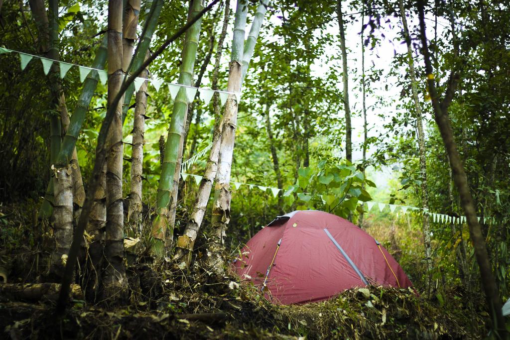 Camp Kite Manja Hornbill Festival - Tap to explore photos