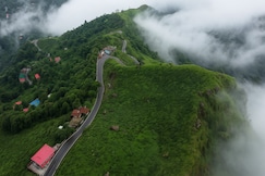 Tea Nest Homestay, Kurseong