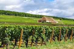 voco BEAUNE, an IHG hotel, Cote-d'Or