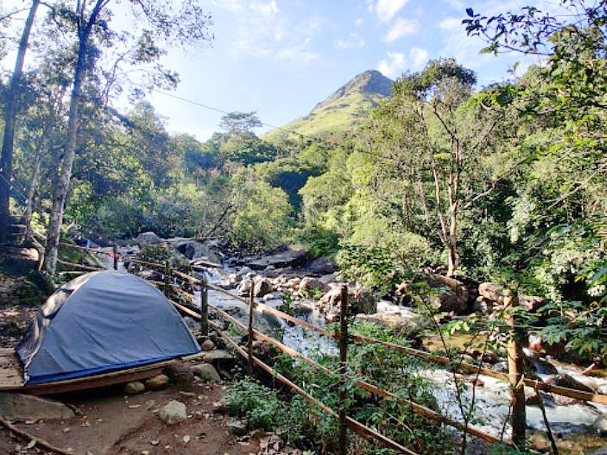 Rainforest Camping - Tap to explore photos