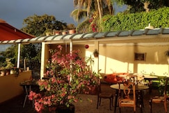 Le Cactus Guesthouse, Mauritius