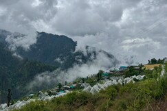 DREAMLAND HOME-STAY, Jibhi