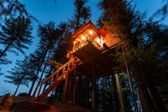 Fairytale Treehouse In Fagu, Mashobra
