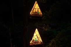 Wayfinderwood, Vagamon