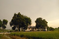 Green Island casa Rooms, Alleppey