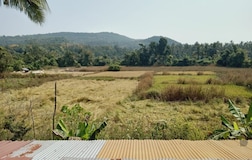 Terrace 1