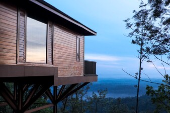 The Tamara Coorg