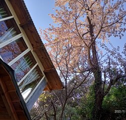 Divine Deluxe With Mountain View