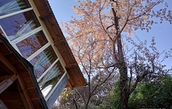 Divine Deluxe With Mountain View