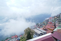 Sher Bengal, Darjeeling