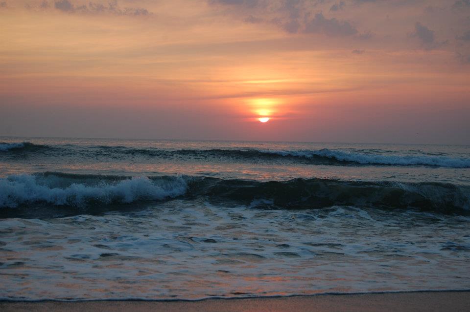 SneharajNisargResort - Tap to explore photos