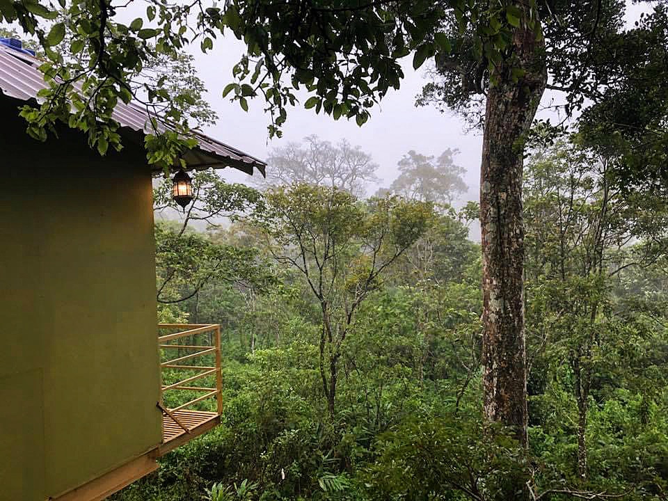 The Munnar TreeHouse - Tap to explore photos