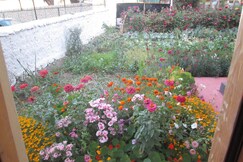 NEW MOON GUEST HOUSE, Leh