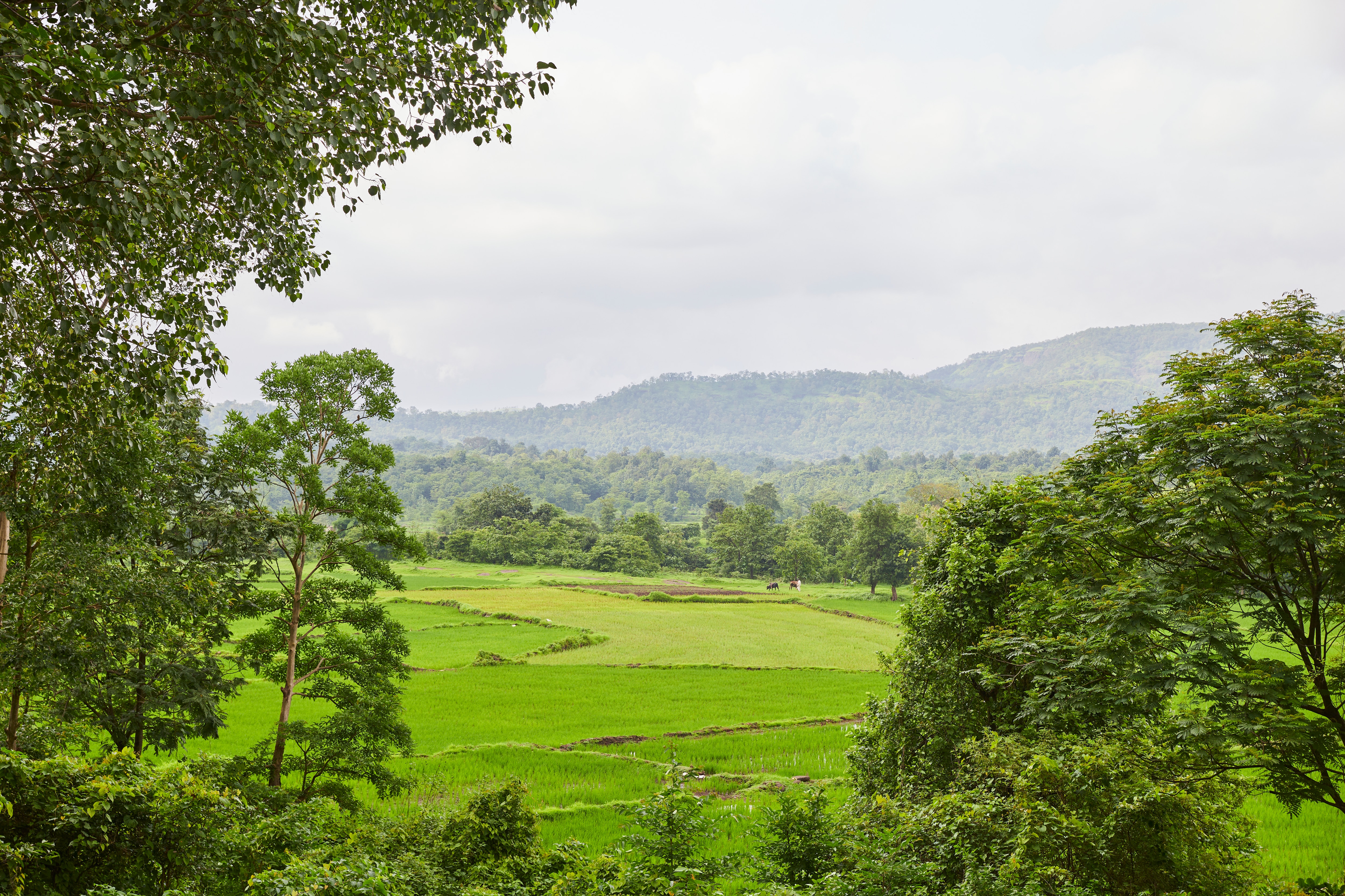 Souzagad Tattva - Tap to explore photos