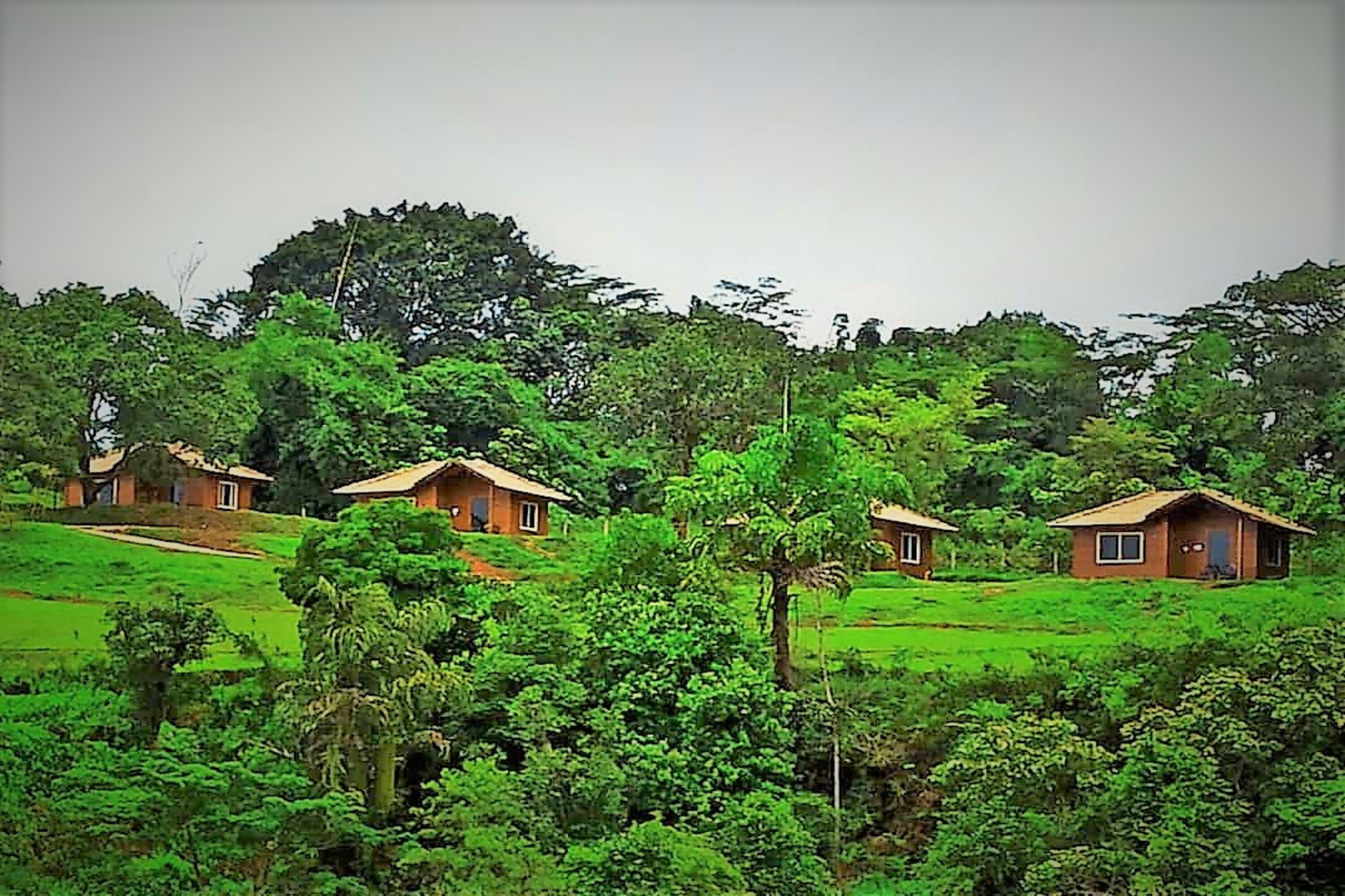 Sterling Kadumane Hills Sakleshpur 𝗕𝗢𝗢𝗞 Sakleshpur Resort