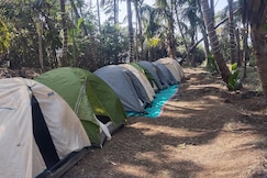 Campola camping, Harihareshwar