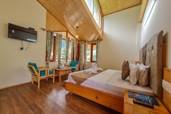 The Himalayan Primula, Manali