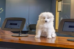 Best Western Wakefield Hotel St Pierre, Wakefield