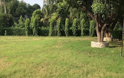 Outdoors