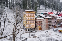 The Hosteller Narkanda, Narkanda