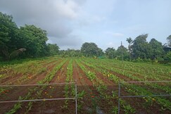 GARVA FARM HOUSE, Guhagar
