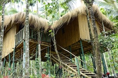 Greenways Treehut & Villas, Wayanad