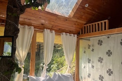 Hidden Grove Treehouse In Jibhi, Jibhi