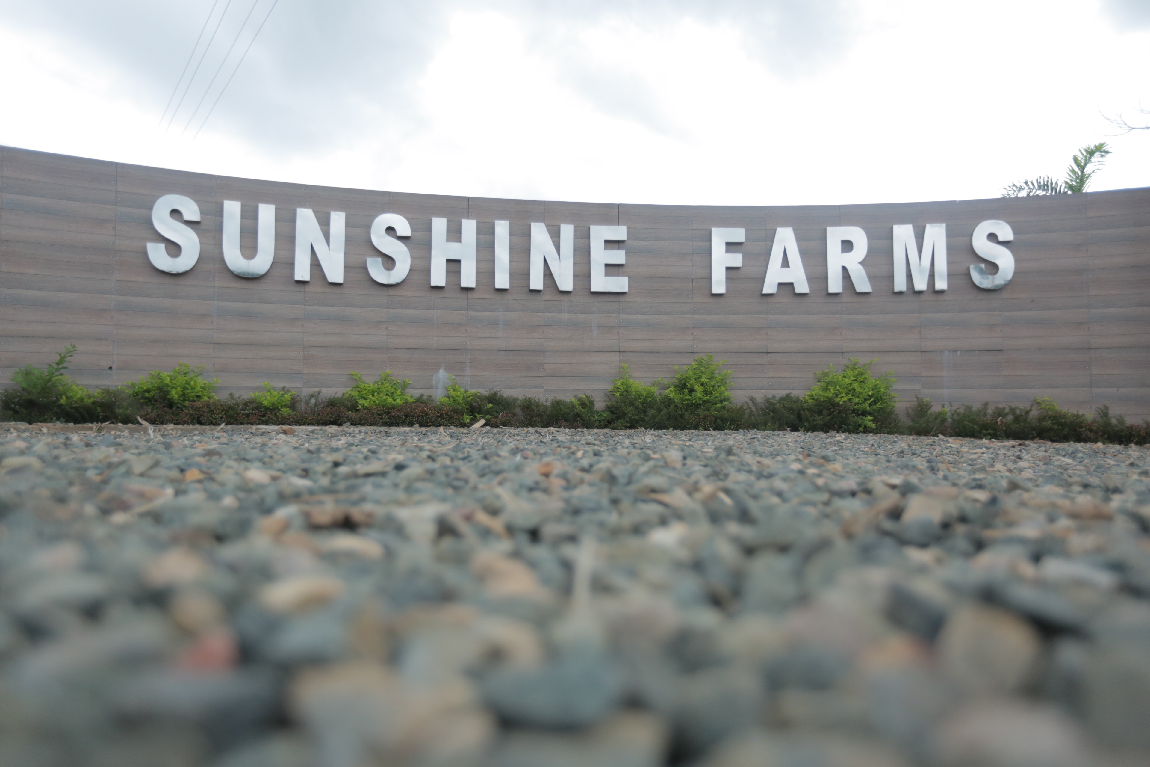 Photos of Sunshine Farms And Resort Resort in Ri Bhoi