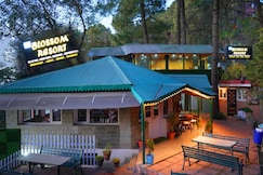 Blossom Resort Kasauli, Baddi