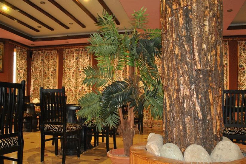 Apple Tree Resorts Gulmarg INR 422 OFF ( ̶2̶9̶0̶0̶ ) Resort Price