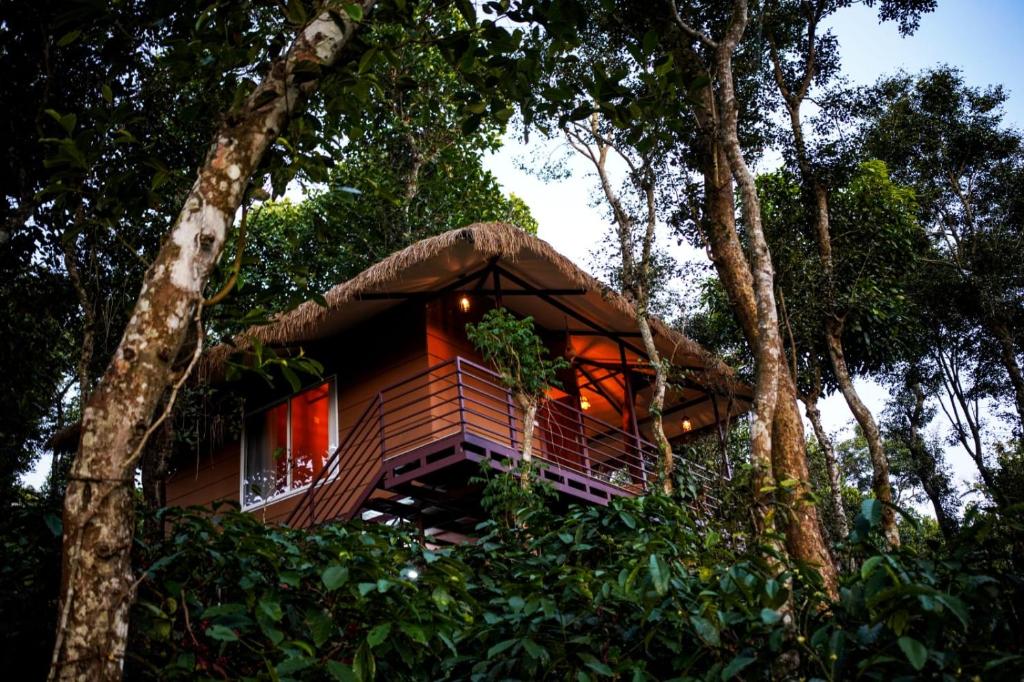 Coffee Cradle Wayanad Premium Tree House - Tap to explore photos