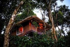 Coffee Cradle Wayanad Premium Tree House, Wayanad