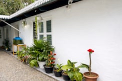 Ella Homestay Entire 3BHK Home near Kuttikanam, Vagamon