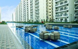 Swimming Pool 1