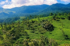 Hillway Resort, Wayanad