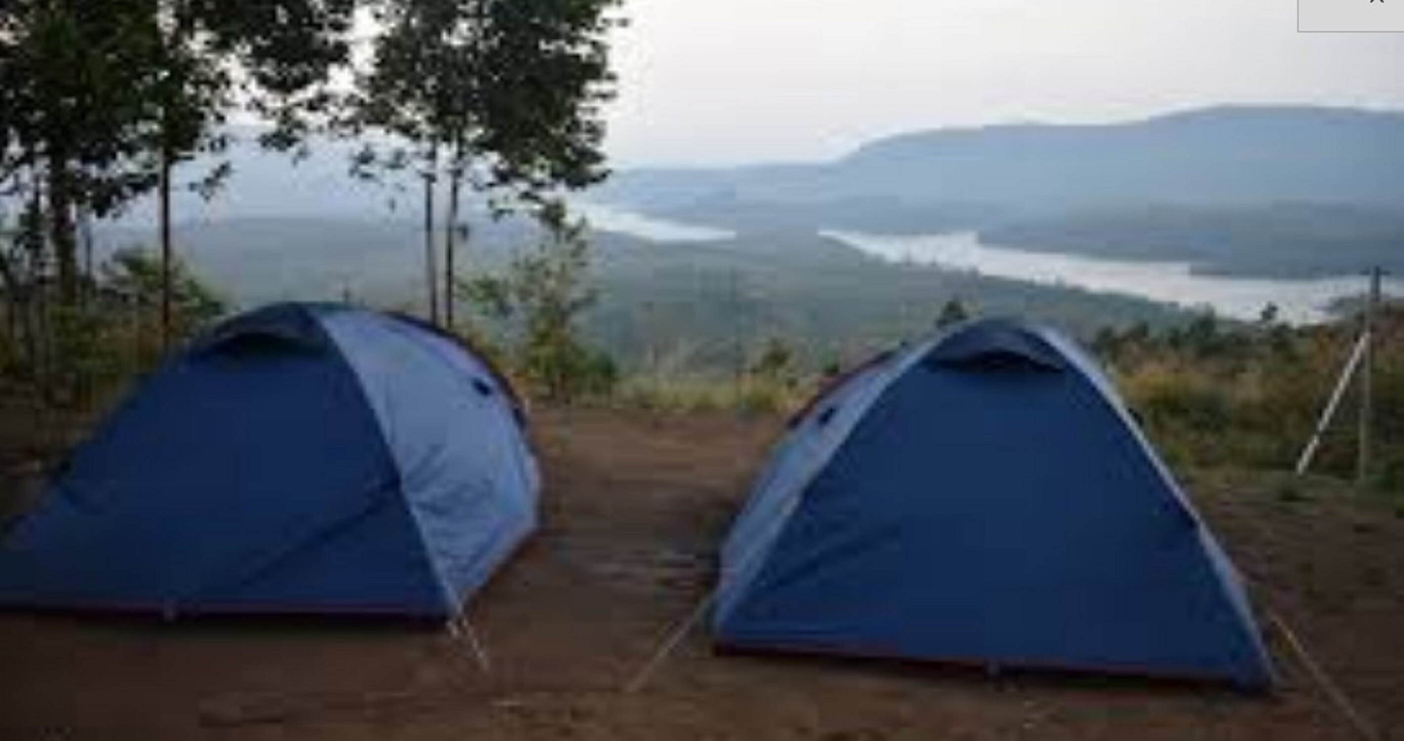 Munnar Birds Camp - Tap to explore photos