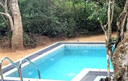Swimming Pool 1