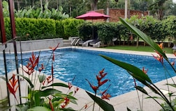 Swimming Pool 1