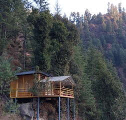 Treehouse 1
