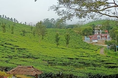 Peace Valley | Tea-Plantation Homestay, Munnar