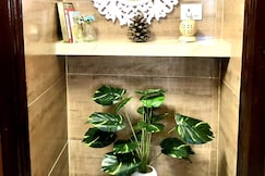 Jakhoo Nest - 5 mins walking from Mall Road, Shimla