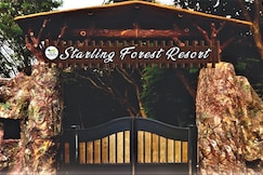 STARLING FOREST RESORT, Daringbadi