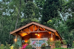 Oxyzone Coorg by StayApart, Chikmagalur