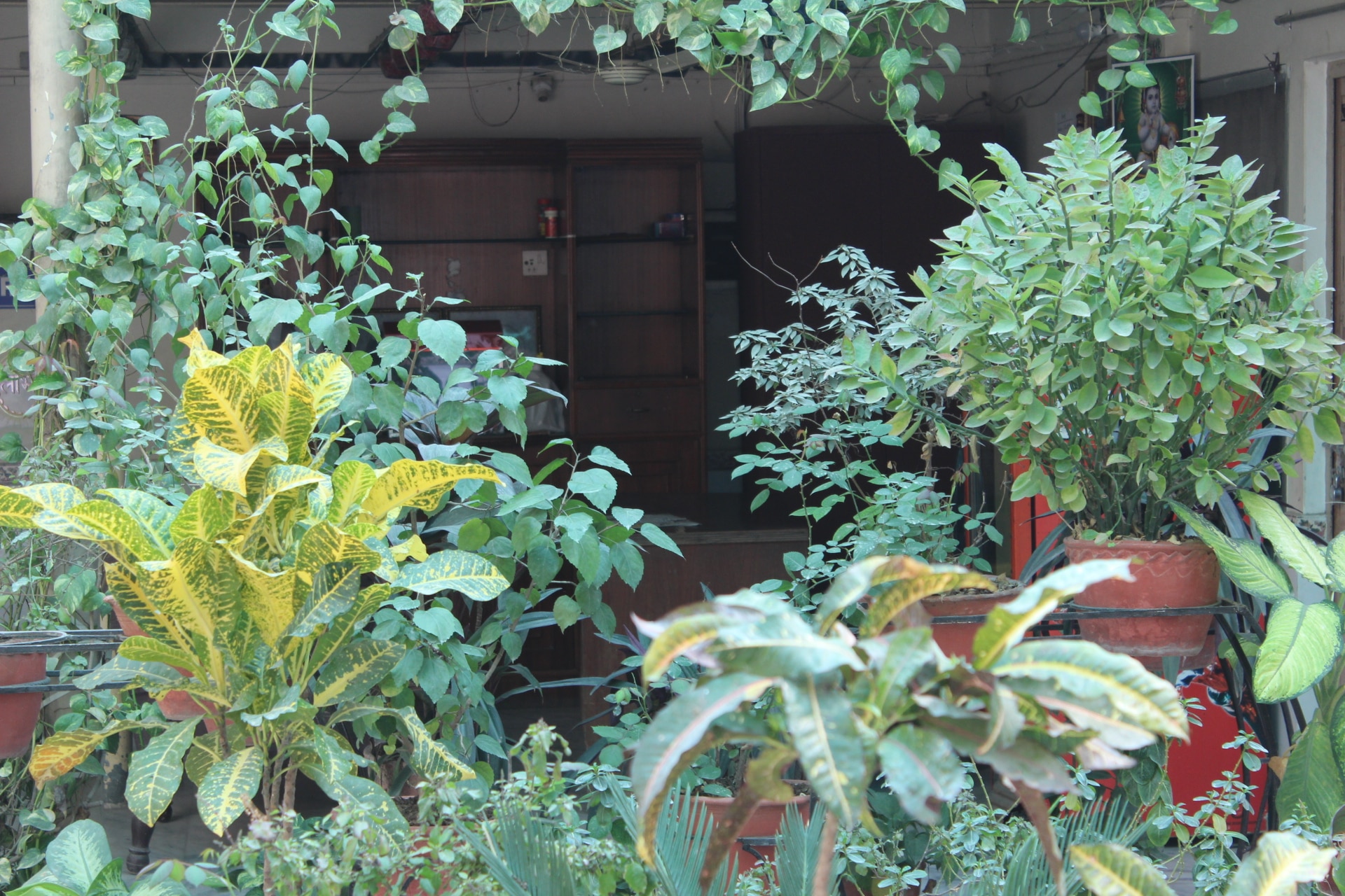 Aashirwad Paying Guest House - Tap to explore photos