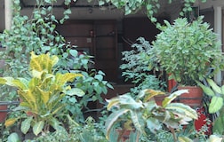 Outdoors