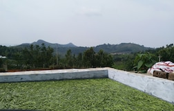Joni Farm Stay